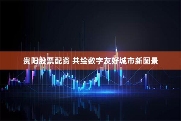贵阳股票配资 共绘数字友好城市新图景